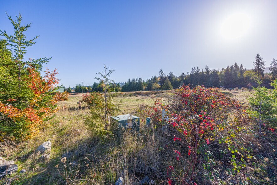 More Photos Of 190 Maliandra dr, Sequim Land For Sale