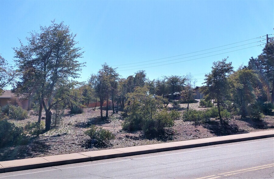 More Photos Of 201 W Longhorn Rd, Payson Land For Sale