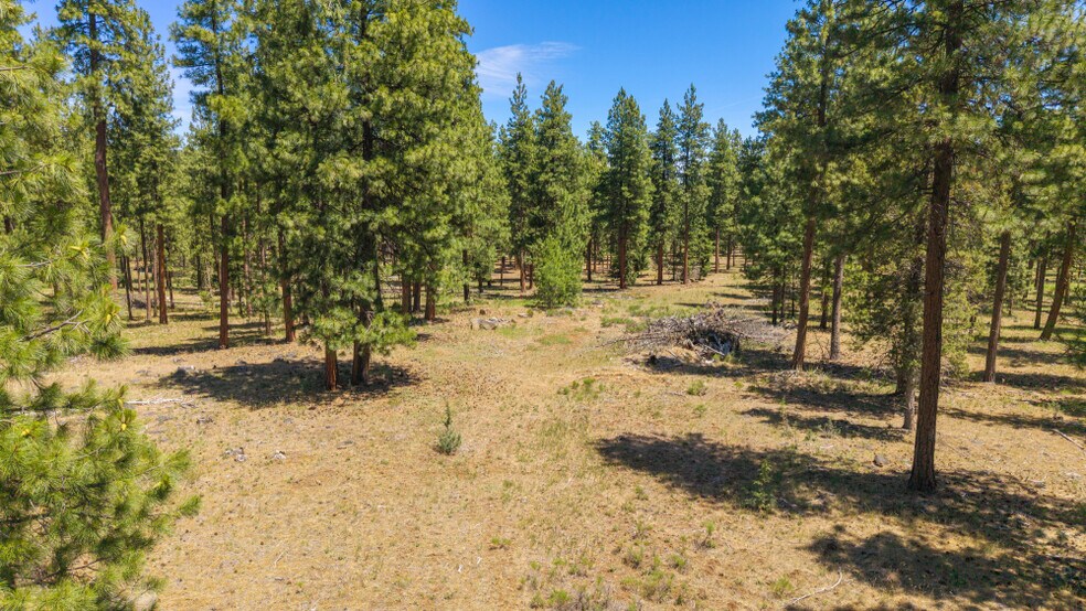 More Photos Of 0 Blue Wing Street, Keno Land For Sale