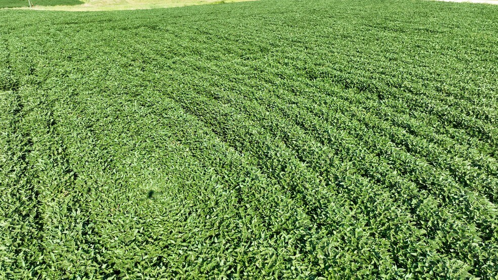 More Photos Of Tract 4 IA-92 hwy, Ainsworth Land For Sale