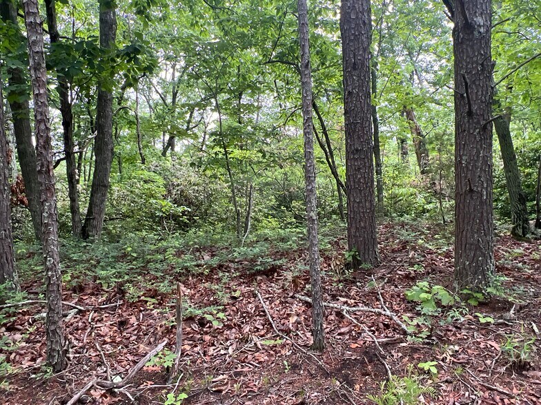 More Photos Of 395 Able rd, Waleska Land For Sale