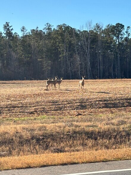 More Photos Of 0 83 Connector hwy, Monroe Land For Sale