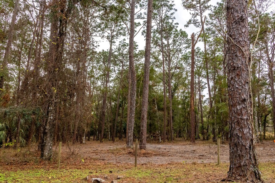 More Photos Of 24091 Richbarn Rd, Brooksville Land For Sale