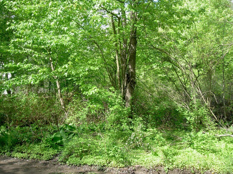 More Photos Of 3930 Perkins, Waterford Land For Sale