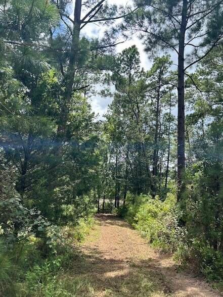 More Photos Of 11382 County Road 307, Navasota Land For Sale