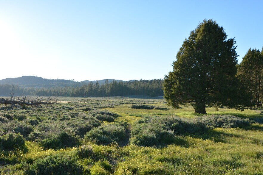 More Photos Of 34300 Holcomb Valley Rd, Fawnskin Land For Sale