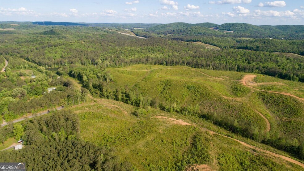 More Photos Of 0 Old Blacks Bluff Rd, Rome Land For Sale