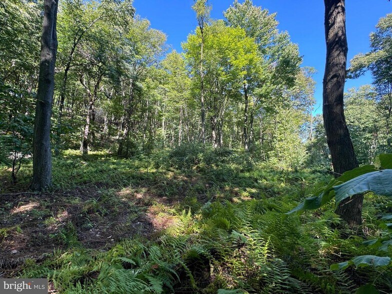 More Photos Of 0 Laurel Mountain Rd, Three Springs Land For Sale