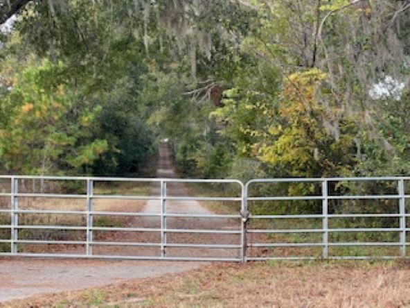 More Photos Of 10602 NW 143rd St, Alachua Land For Sale