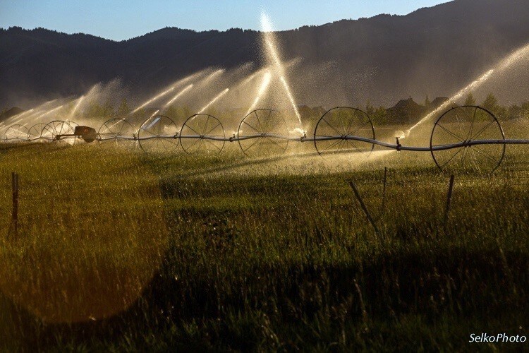 More Photos Of 9130 Village Way, Victor Land For Sale