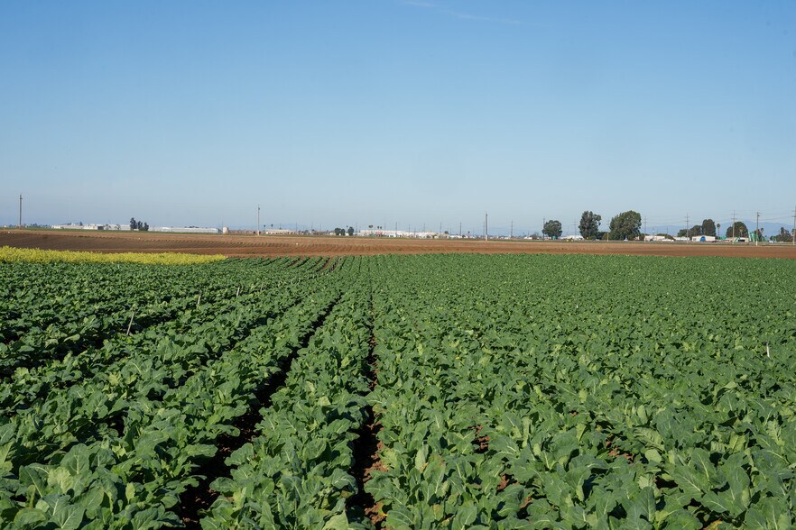 More Photos Of Somavia Rd, Salinas Land For Sale