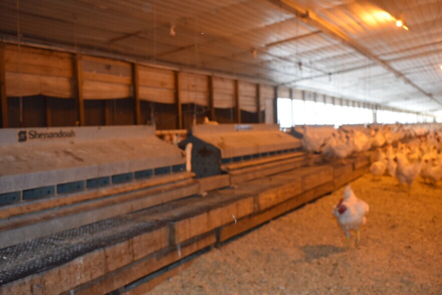 More Photos Of 441 Weaver Rd, Moultrie Land For Sale