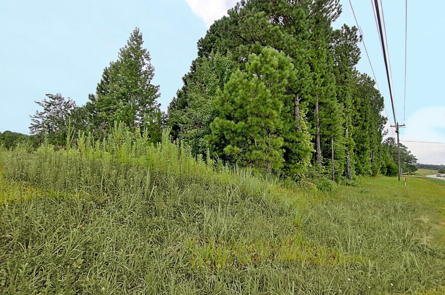 More Photos Of 1430 Highway 154, Sharpsburg Land For Sale