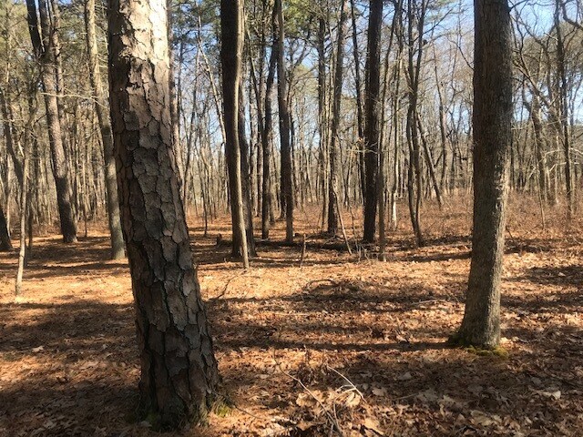 More Photos Of 251 W Commodore Blvd, Jackson Land For Sale