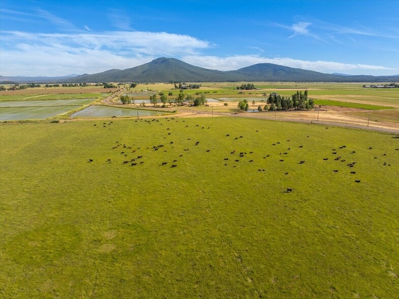 More Photos Of 42079 River Bank rd, Fall River Mills Land For Sale