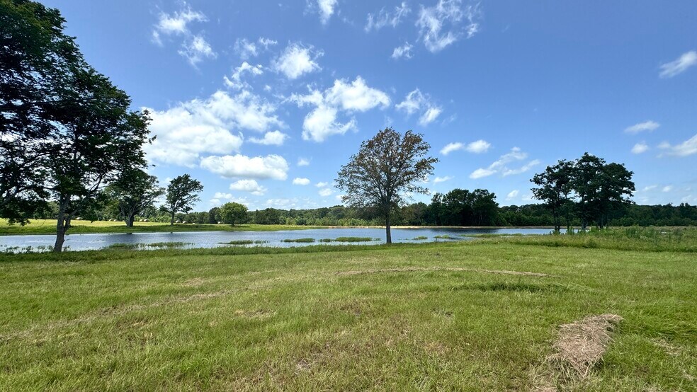 More Photos Of 13530 FM 773, Ben Wheeler Land For Sale