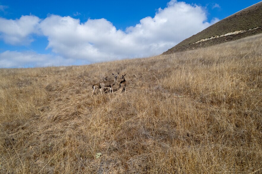 More Photos Of 367 San Benancio Rd, Salinas Land For Sale