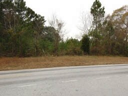 More Photos Of Mink Livsey Rd, Snellville Land For Sale
