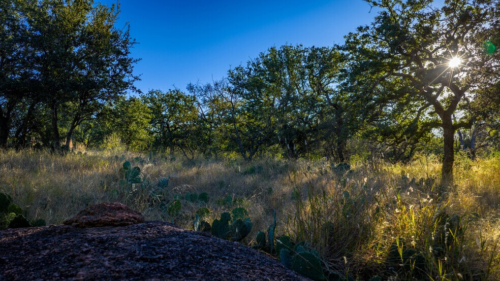 More Photos Of 7499 US 87 hwy, Mason Land For Sale