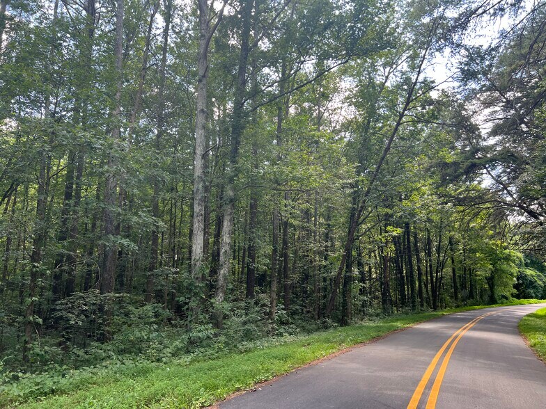 More Photos Of Hwy 411 & Maxwell Rd, Rydal Land For Sale