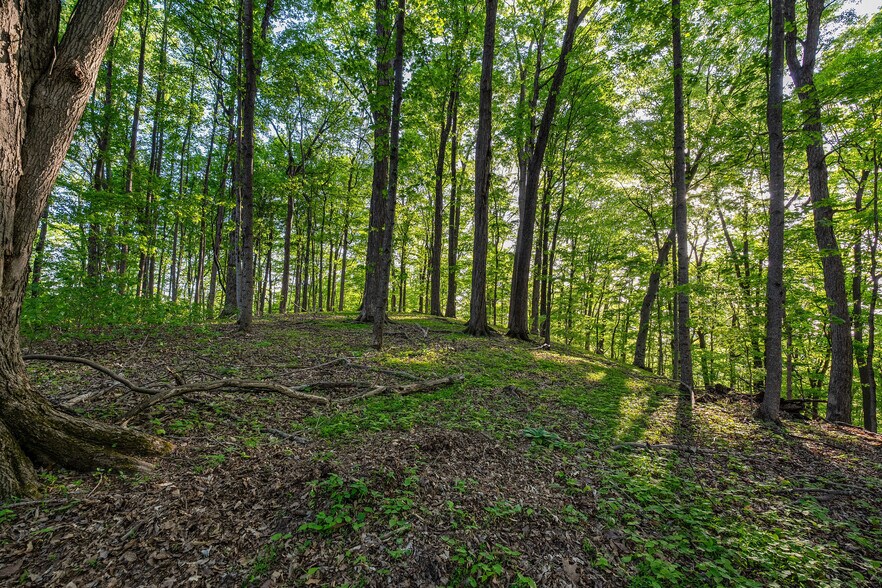 More Photos Of 2188 Highway 75, Blountville Land For Sale