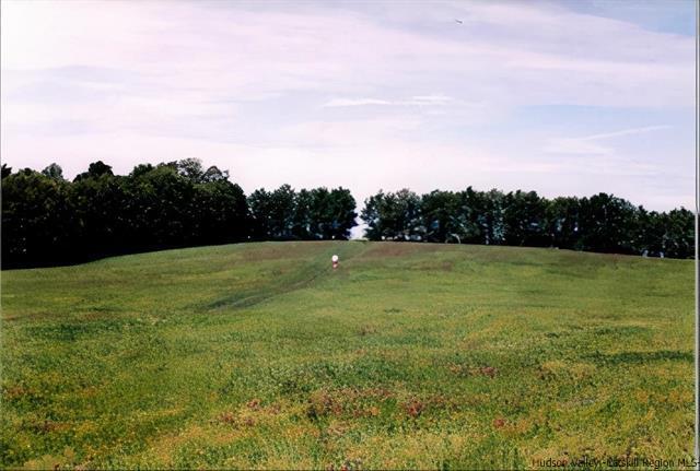 Primary Photo Of TBD County Rt 6, Oriskany Falls Land For Sale