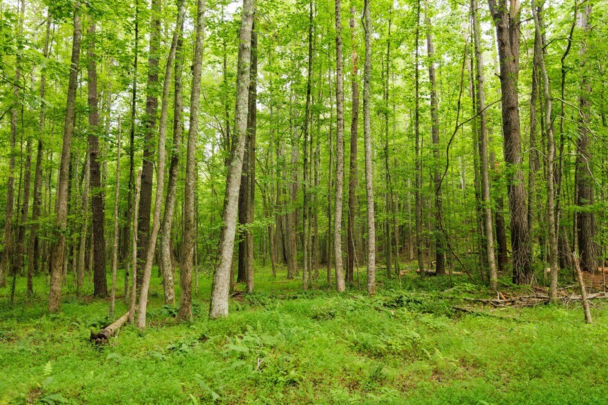 More Photos Of 2199 Roosterville Rd, Roopville Horse Stables For Sale