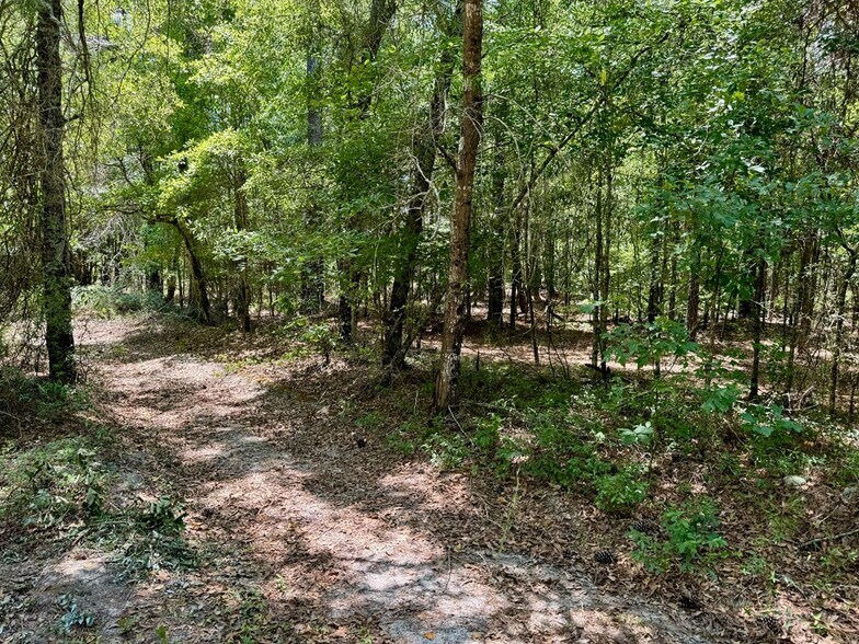More Photos Of 241 Foskey Cemetery Rd, Adrian Land For Sale