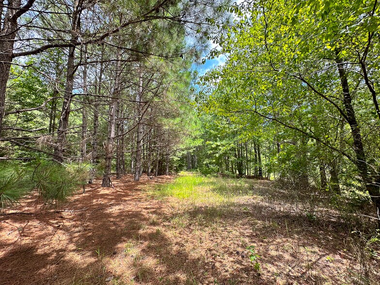 More Photos Of US 401 S Hwy, Youngsville Land For Sale