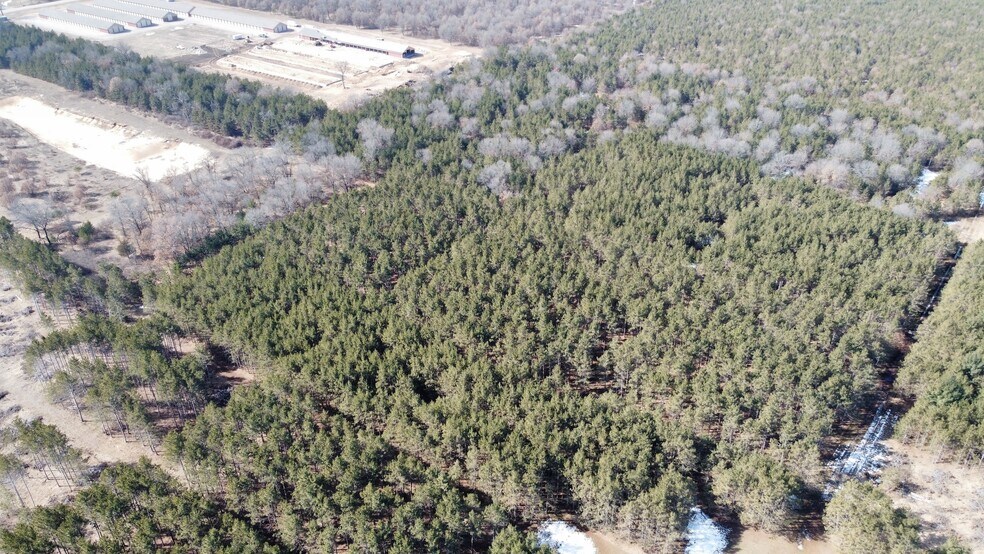 More Photos Of 207 State Highway 13, Nekoosa Land For Sale