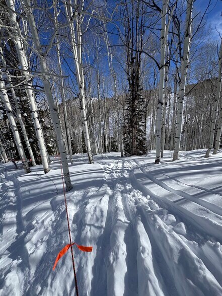 More Photos Of Parcels Logan lot 724 - U.P. No.2 lot 724 @ Red Cloud Rd., Park City Land For Sale