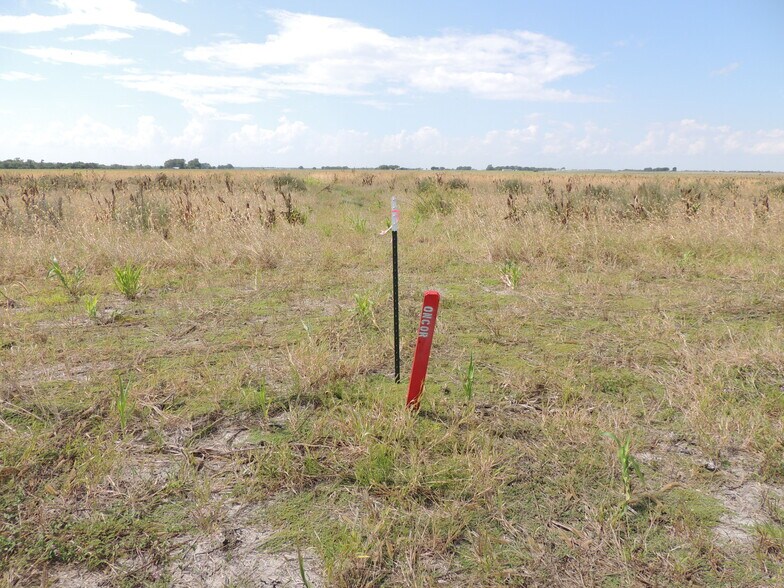 More Photos Of 3530 County Road 405, Taylor Land For Sale