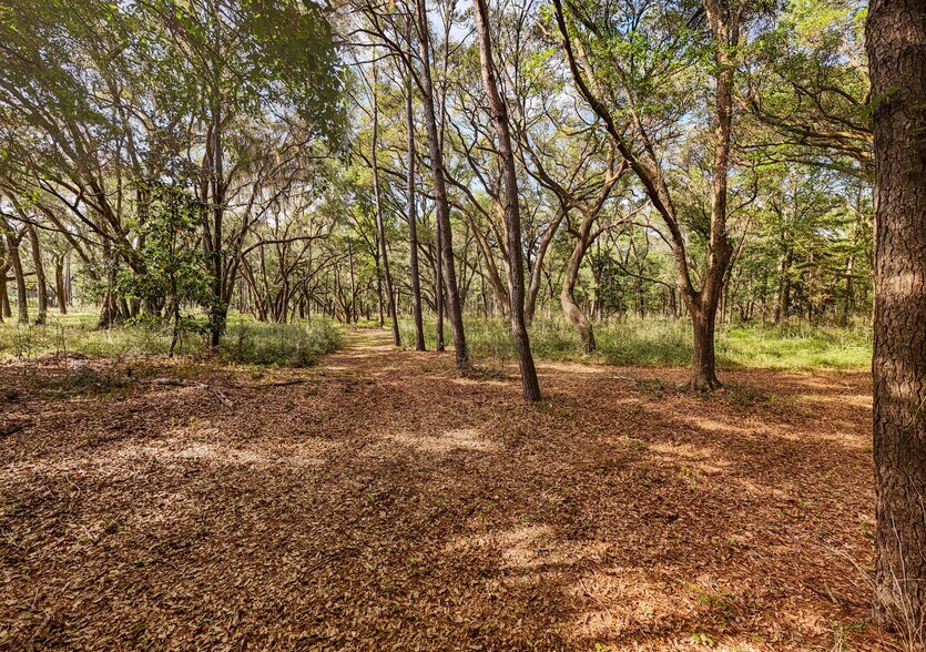 More Photos Of 0 King Rail Lane, Edisto Island Land For Sale