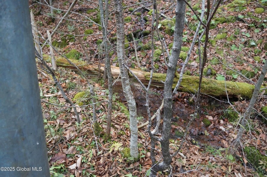 More Photos Of Mt Eden Estates Rd, Lexington Land For Sale