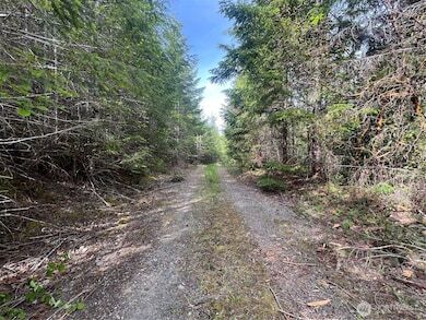 More Photos Of N US Hwy 101, Lilliwaup Land For Sale