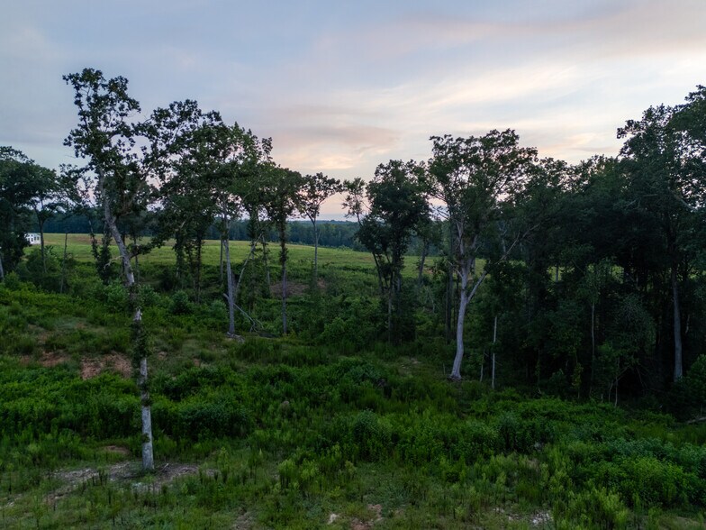 More Photos Of 2199 Roosterville Rd, Roopville Horse Stables For Sale