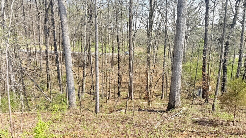 More Photos Of 5937 Union Church Rd, Braselton Land For Sale