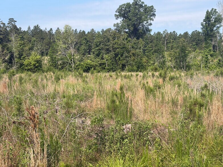 More Photos Of 00 Everett Chappell Rd, Mount Gilead Land For Sale