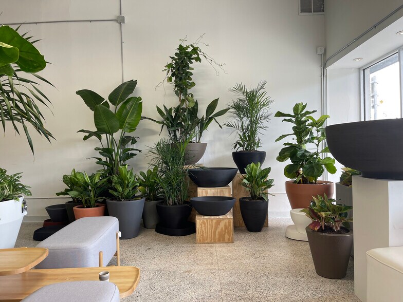 More Photos Of 6621 Biscayne Blvd, Miami Storefront For Sale