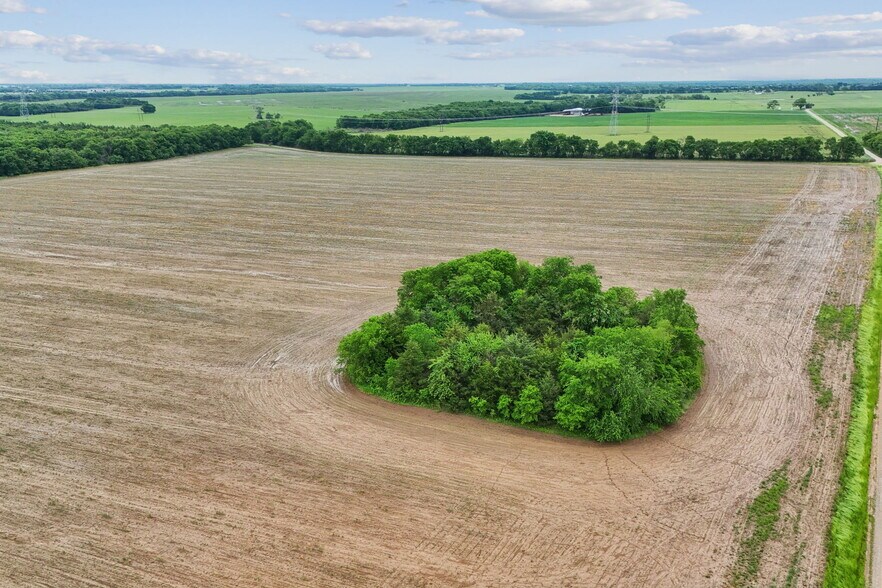 More Photos Of County Line Road, Honey Grove Land For Sale