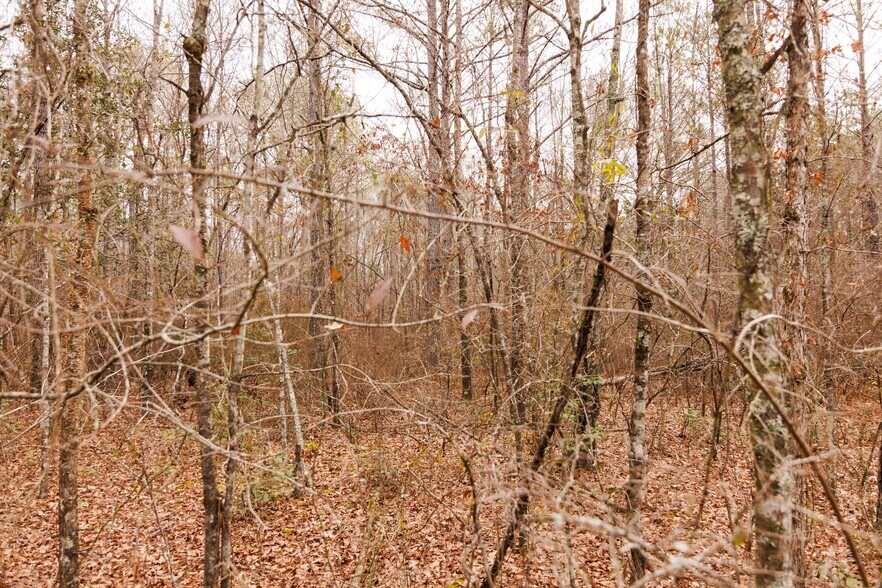 More Photos Of Jug Factory Road, Wetumpka Land For Sale