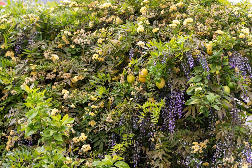 More Photos Of 1937 Haste St, Berkeley Multifamily For Sale