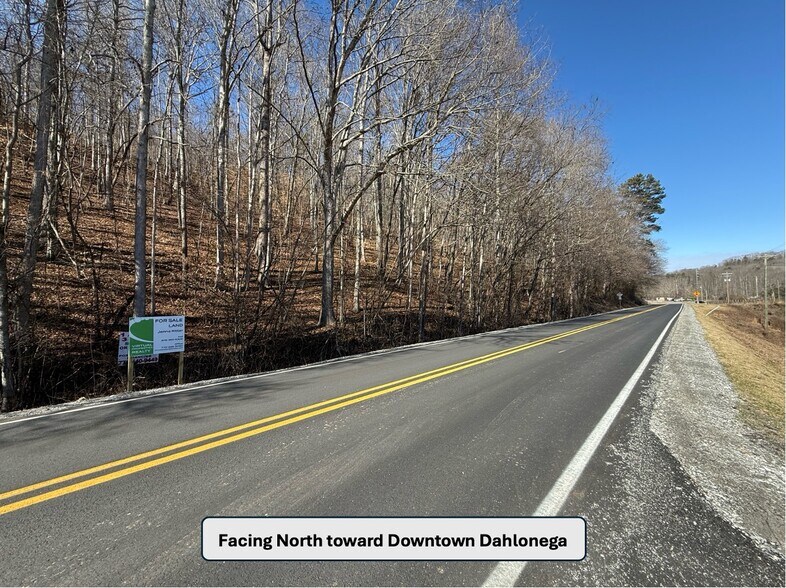 More Photos Of 0 Auraria Rd, Dahlonega Land For Sale