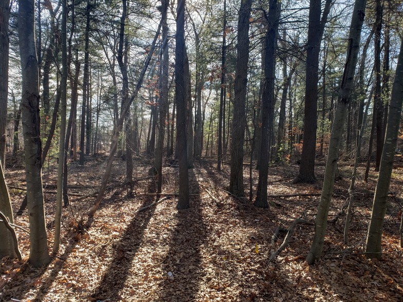 Primary Photo Of 400 Cordwainer Dr, Norwell Land For Sale