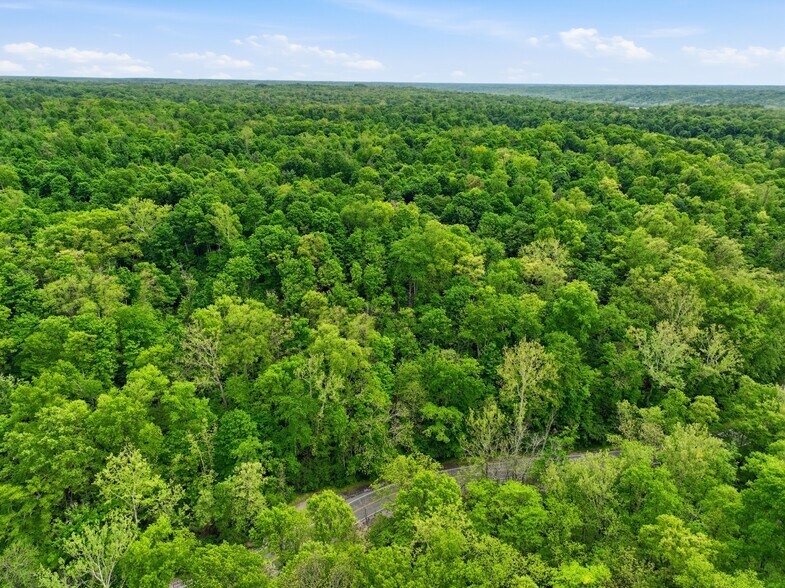 More Photos Of 30-Acres Wolfpen Pleasant Hill Rd, Day Heights Land For Sale