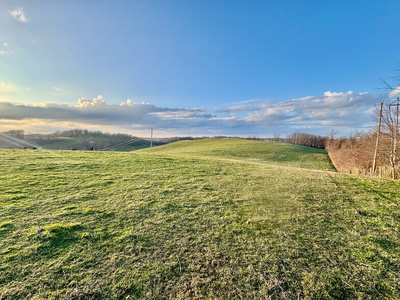 More Photos Of 68895 Lloydsville Bannock Rd, Belmont Land For Sale