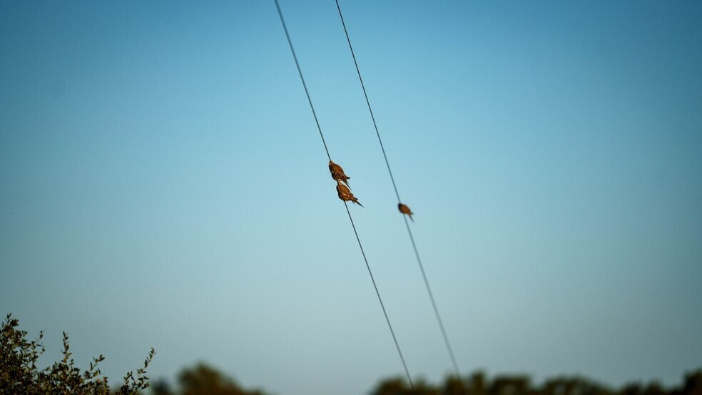 More Photos Of 917 Bear Springs rd, Mason Land For Sale