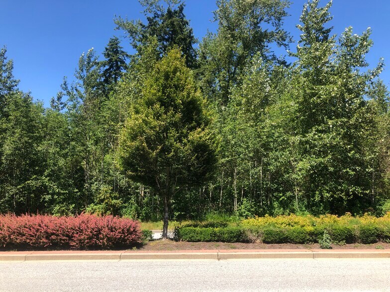 More Photos Of 17118 96 Av, Surrey Land For Sale