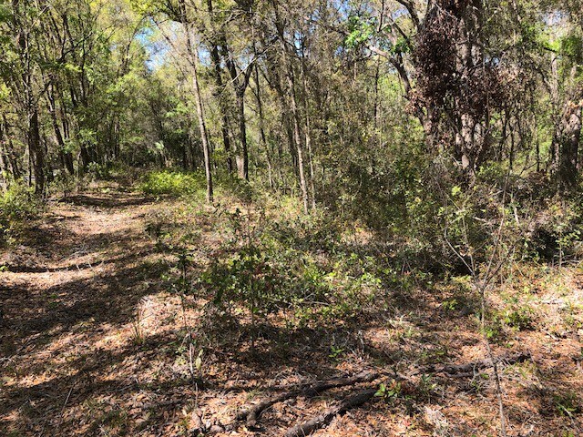 More Photos Of 2001 N Highway 41 Hwy, Inverness Land For Sale