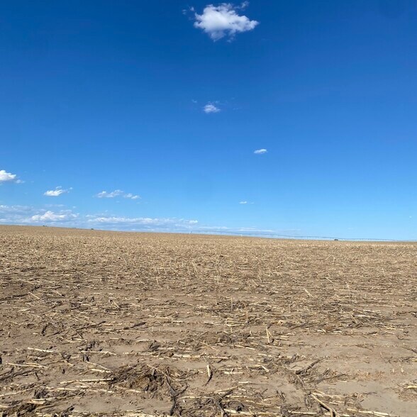 More Photos Of 73881 Avenue 357, Hayes Center Land For Sale